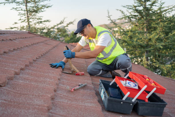 Best Metal Roofing Contractor  in Ridgebury, CT