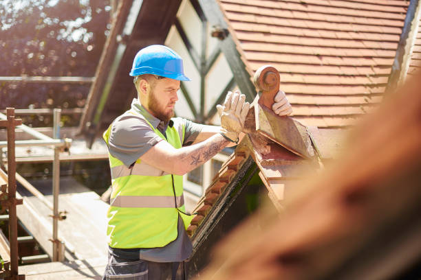 Best Metal Roofing Contractor  in Ridgebury, CT